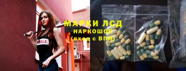 индика Алексин
