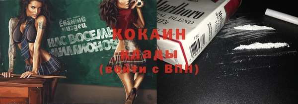 хмурый Алзамай