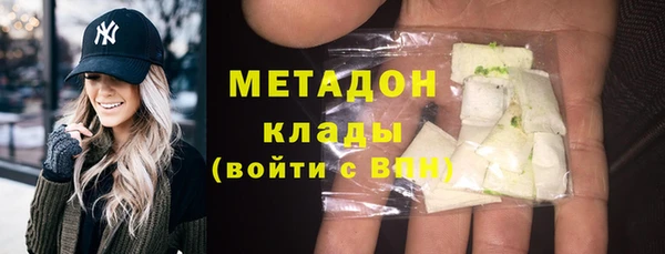 индика Алексин