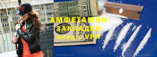 индика Алексин