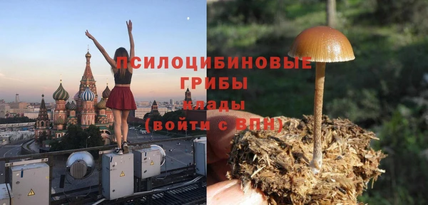 индика Алексин
