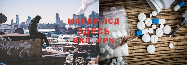 хмурый Алзамай