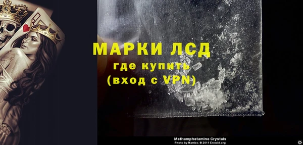 индика Алексин