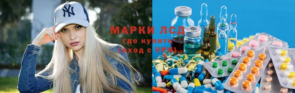 хмурый Алзамай