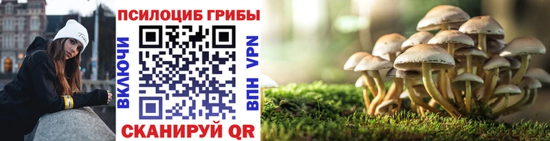 Галлюциногенные грибы Psilocybine cubensis  ссылка на мегу рабочий сайт  Ахтырский 
